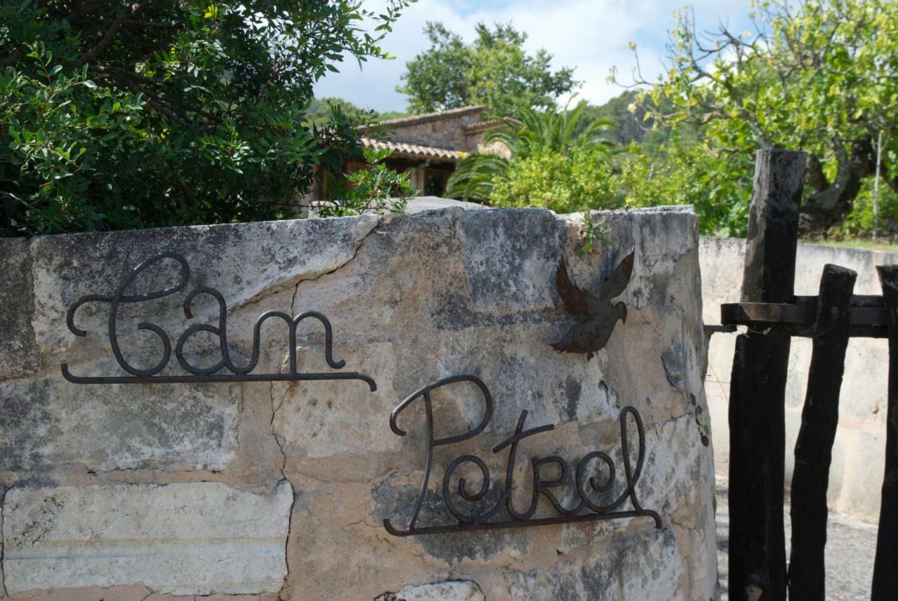 Can Petrel Pollença Dış mekan fotoğraf