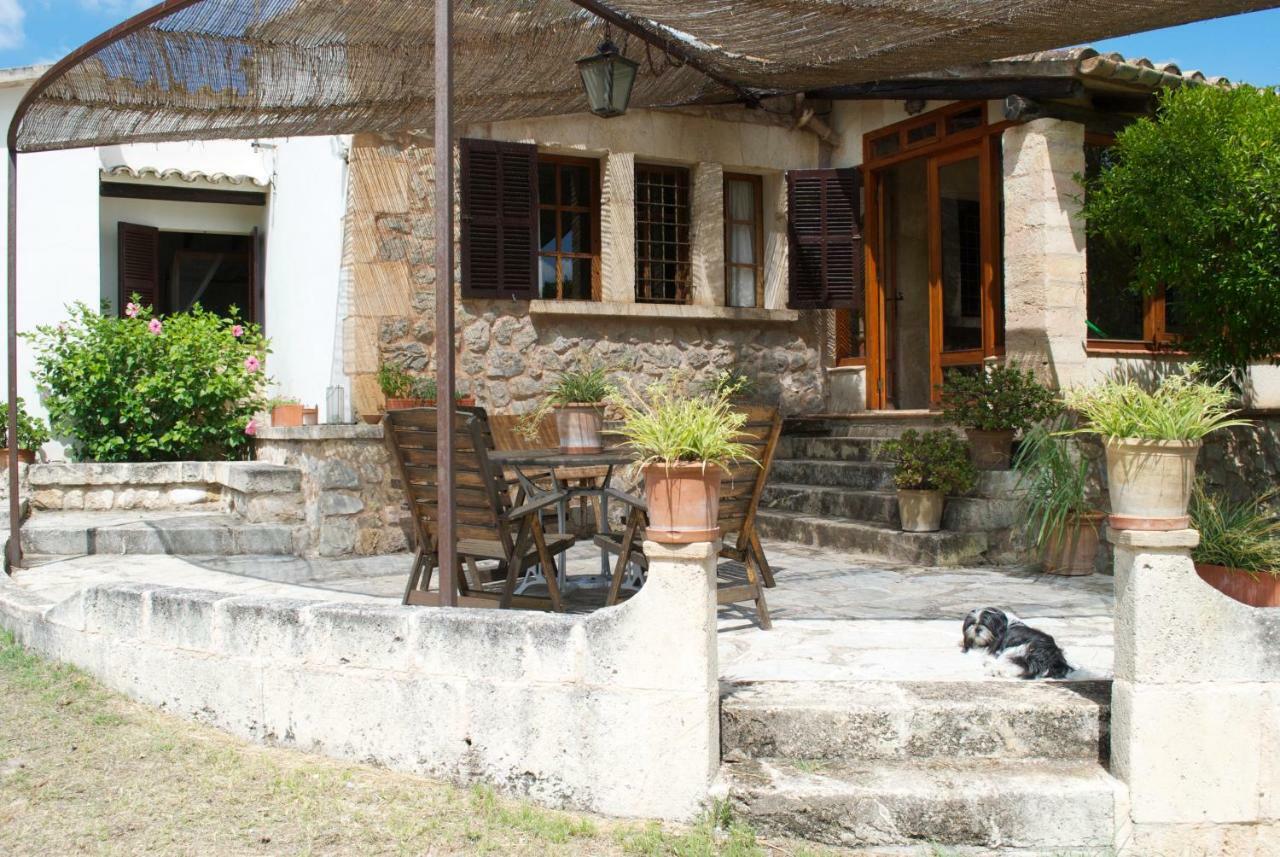 Can Petrel Pollença Dış mekan fotoğraf