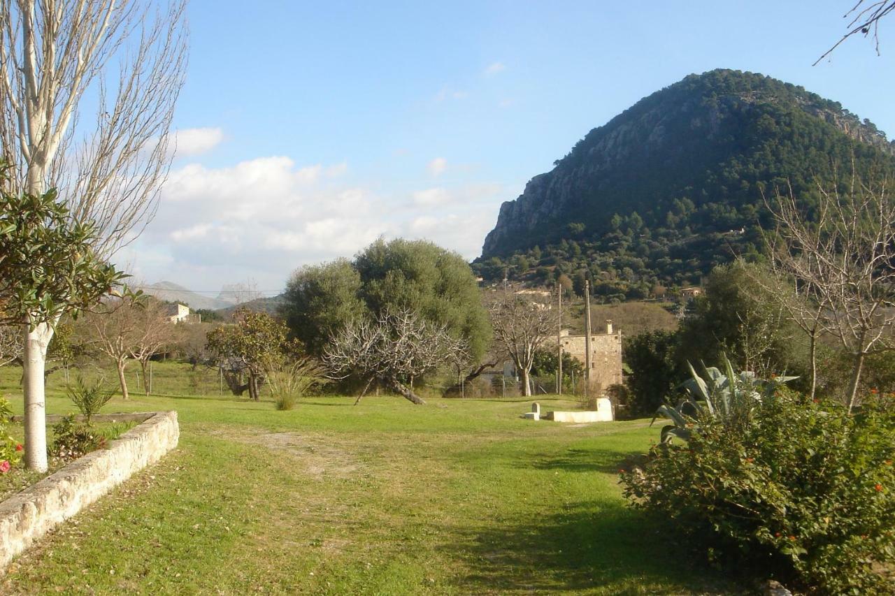 Can Petrel Pollença Dış mekan fotoğraf